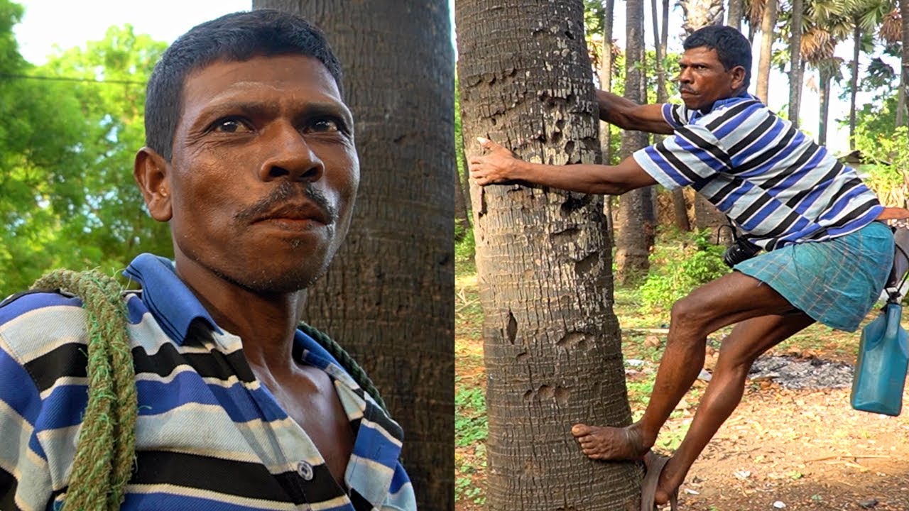 DANGEROUS SRI LANKAN FOOD!! Toddy Tapper RISKS LIFE for Drink + Street Food in Sri Lanka!