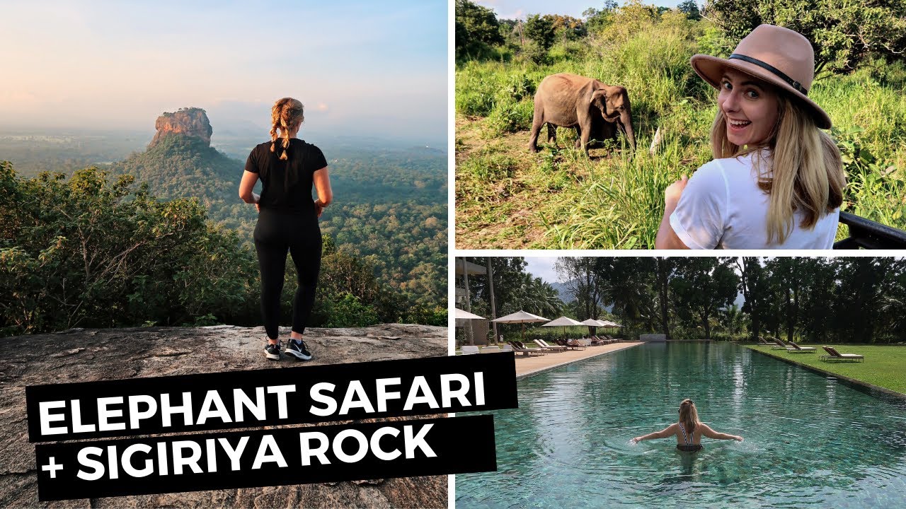 Going on Elephant Safari, hiking Pidurangala Rock (Sigiriya) + World's End | Sri Lanka Travel Vlog