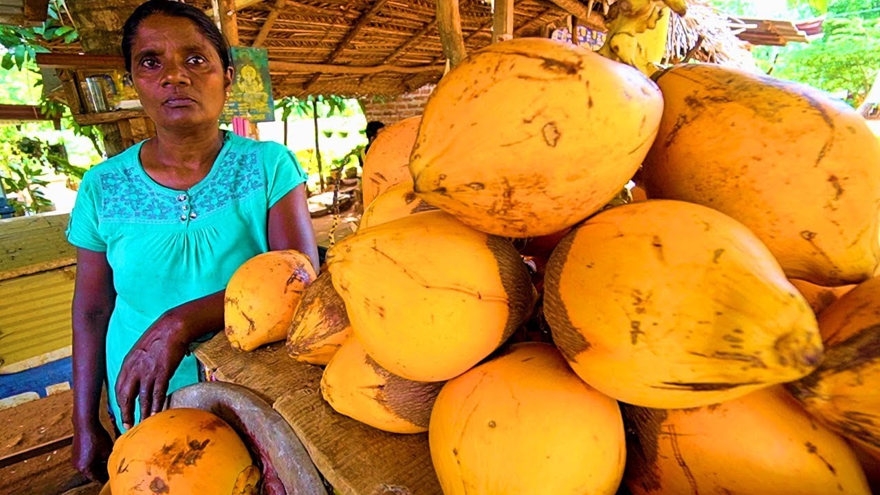 SRI LANKA STREET FOOD - King of Coconuts!! HUNGRY SRI LANKAN Food Trip to Anuradhapura!