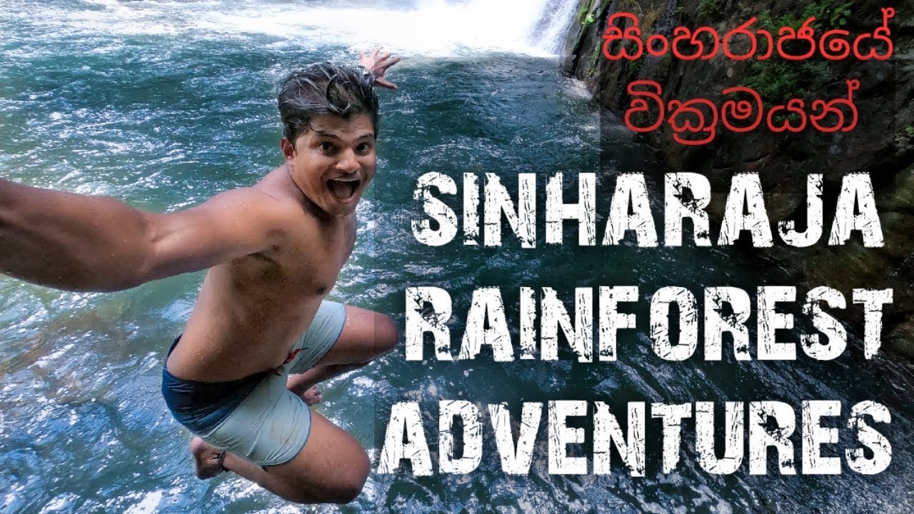 sinharaja adventures, vlog  010 #srilanka #sinharaja #travel