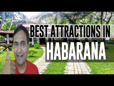 Best Attractions and Places to See in Habarana, Sri Lanka