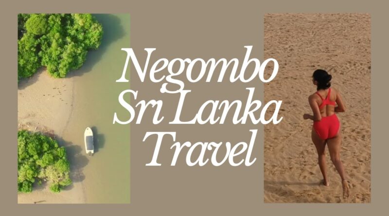 Travel Vlog | Watch This Before you Travel Sri Lanka | Negombo | Lagoon | #02