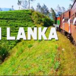 13 Things to do in Sri Lanka | Travel Guide | The Planet D | Travel Vlog