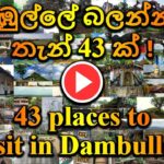 🚌 43 places to  visit in Dambulla ! | දඹුල්ලේ බලන්න  තැන් 43 ක් ! | A&E Tv